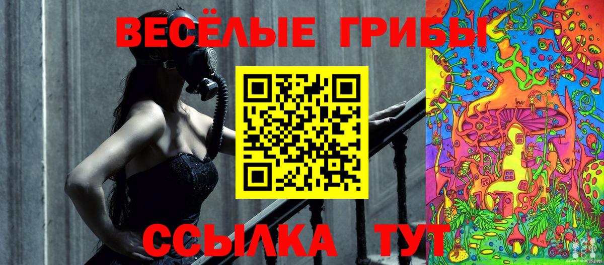 Галлюциногенные грибы Psilocybe Златоуст